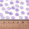 FGB Grade A Drawbench Style Glass Seed Beads SEED-Q040-02A-10-4