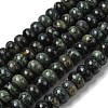 Natural Kambaba Jasper Beads Strands G-A280-A28-02-2