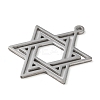 Non-Tarnish 304 Stainless Steel Pendants LS-STAS-R116-01P-2