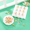 36Pcs 9 Colors Baking Paint Handmade Lampwork Pendants PALLOY-TA00157-5