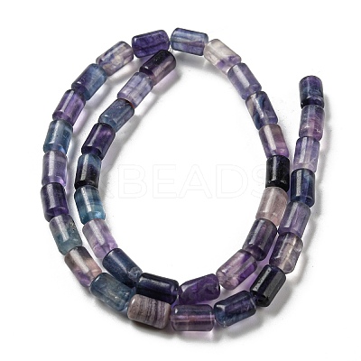Natural Fluorite Beads Strands G-M420-E08-03-1