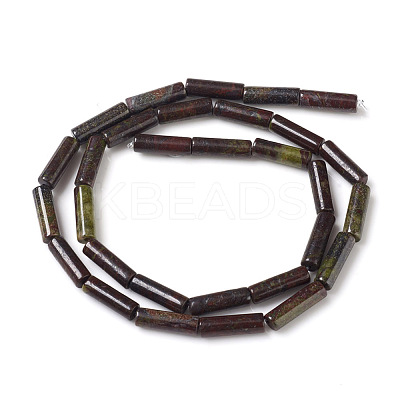 Natural Dragon Blood Jasper Beads Strands G-F247-31-1
