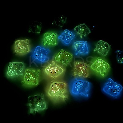 Luminous Transparent Acrylic Pendants TACR-F006-01-1