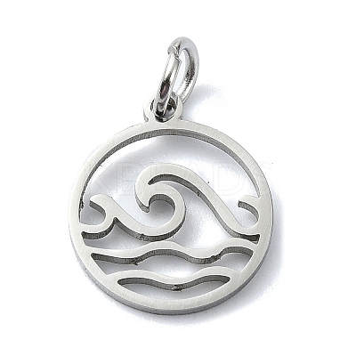 Non-Tarnish 304 Stainless Steel Charms LS-X-STAS-C097-63P-1