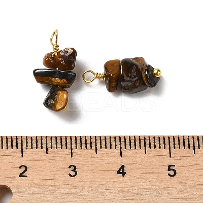 Natural Tiger Eye Pendants KK-P242-31G-05-1