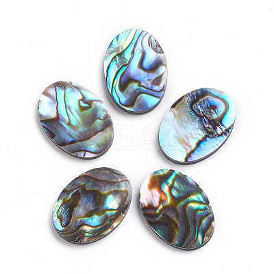 Natural Abalone Shell/Paua Shell Cabochons SSHEL-L017-003-1