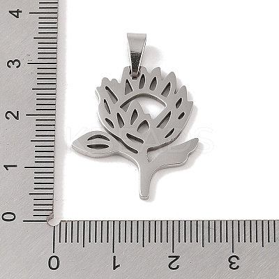 Non-Tarnish 201 Stainless Steel Pendants STAS-A094-21P-1