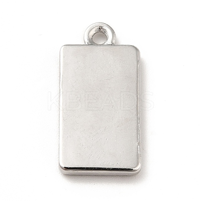 Non-Tarnish 304 Stainless Steel Pendants STAS-H172-10P-1