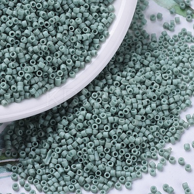 MIYUKI Delica Beads Small X-SEED-J020-DBS0374-1
