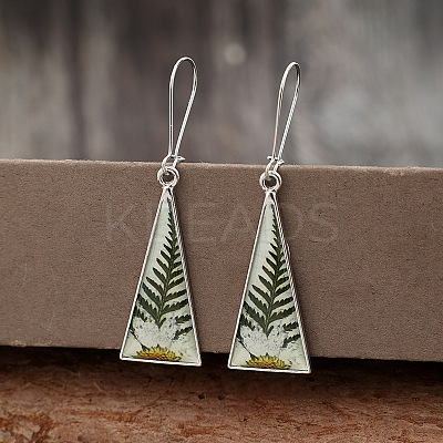 Print Alloy & Epoxy Leverback Earrings FS-WG26850-01-1