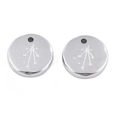Non-Tarnish 316 Surgical Stainless Steel Charms STAS-S116-418K-P-1