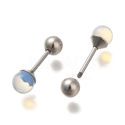201 Stainless Steel Ear Plugs Gauges EJEW-C118-08P-10-1