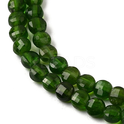 Natural Green Diopside Beads Strands G-F799-A02-01-1