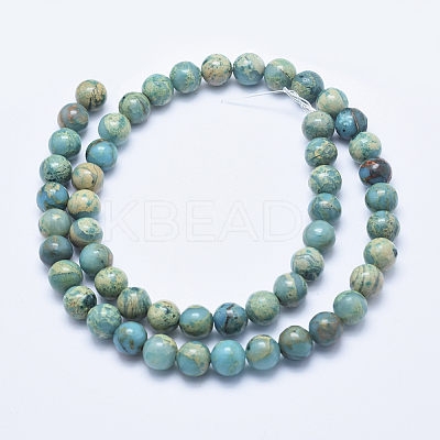 Natural Aqua Terra Jasper Beads Strands G-E444-14A-8mm-1