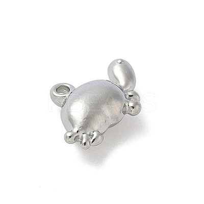 304 Stainless Steel Charms STAS-F320-13P-1