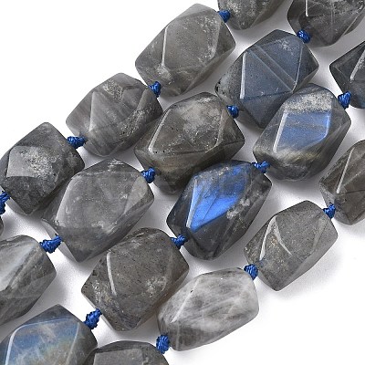 Natural Labradorite Beads Strands G-C270-F01-1