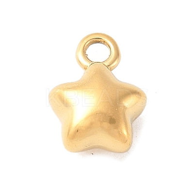 304 Stainless Steel Charms STAS-Q351-01G-A-1