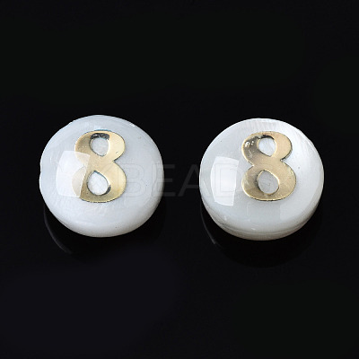 Natural Freshwater Shell Beads SHEL-N003-20-08-1