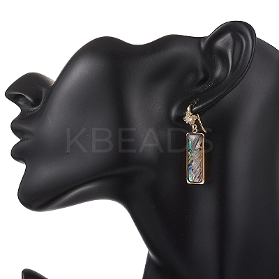 Brass Micro Pave Clear Cubic Zirconia Dangle Earrings EJEW-JE06949-1