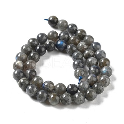 Natural Labradorite Beads Strands G-S333-8mm-035-1