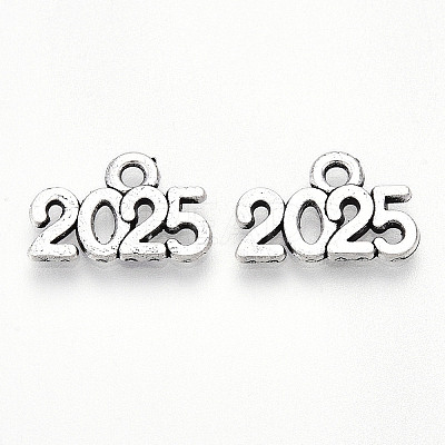 Tibetan Style Alloy Charms LS-TIBE-N012-11AS-NF-1