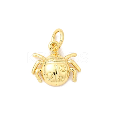 Brass Charms KK-I364-05G-02-1