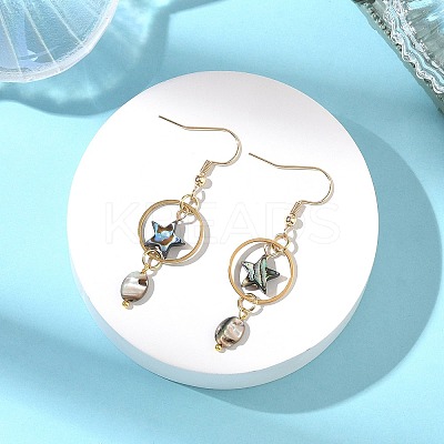 Natural Paua Shell & Stainless Steel Dangle Earrings for Women EJEW-JE07076-01-1