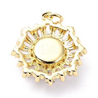 Brass Micro Pave Cubic Zirconia Pendants ZIRC-O044-21E-G-1