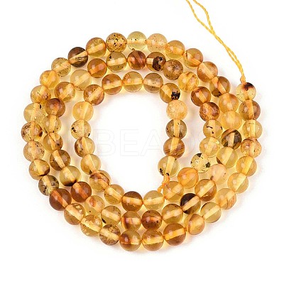 Natural Amber Beads Strands G-K387-D02-03-1