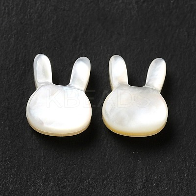Natural White Shell Beads SHEL-G014-12-1