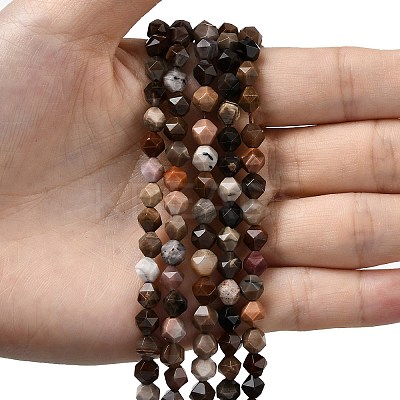 Natural Petrified Wood Beads Strands G-Z119-A21-01-1