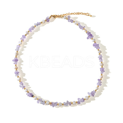 Natural Freshwater Pearl Nuggets and Amethyst Chip Beaded Necklaces for Women FS-WGFF989-01-1