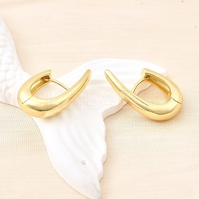 Brass Teardrop Hoop Earrings EJEW-Z121-09G-1