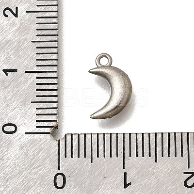 304 Stainless Steel Charms LS-STAS-D310-06P-02-1