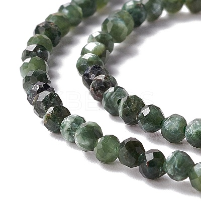 Natural Seraphinite Beads Strands G-A021-07B-1