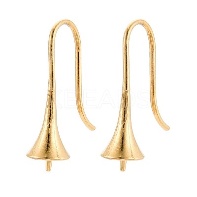 Ion Plating(IP) 304 Stainless Steel Earring Hooks STAS-N108-30G-1