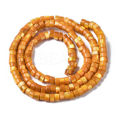 Natural Trochus Shell Beads Strands SHEL-S278-027F-1