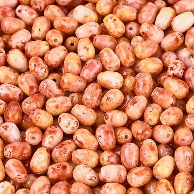 Picasso Glass Seed Beads SEED-N012-10C-1