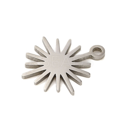 Non-Tarnish 304 Stainless Steel Charms LS-STAS-S123-01P-04-1