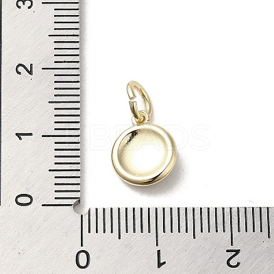 Brass Enamel Charms KK-E092-13G-02-1