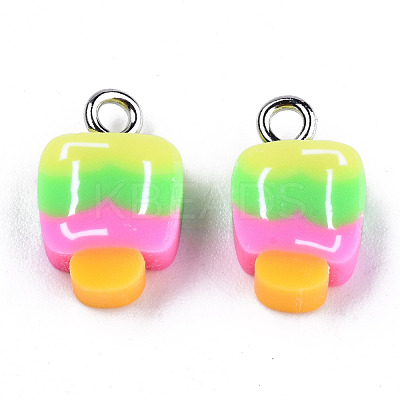 Handmade Polymer Clay Charms CLAY-T016-56-1