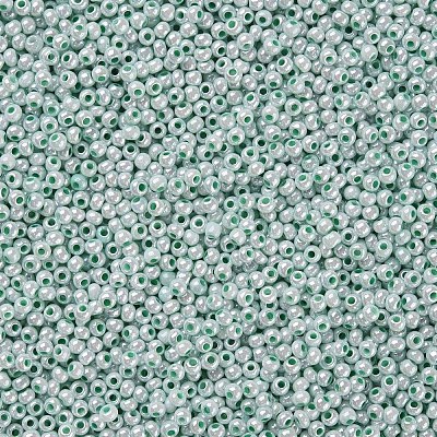 11/0 FGB Grade A Ceylon Glass Seed Beads X-SEED-N001-B-0487-1