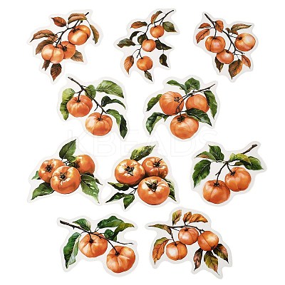 10Pcs Fruit PET Self-Adhesive Stickers DIY-K074-08F-1