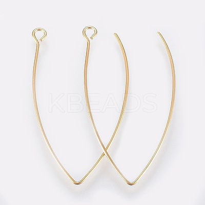Ion Plating(IP) 304 Stainless Steel Earring Hooks X-STAS-K184-05-01G-A-1