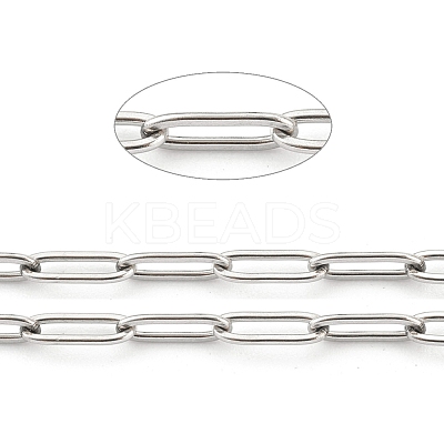 Non-Tarnish 304 Stainless Steel Paperclip Chains STAS-H111-04P-B-1