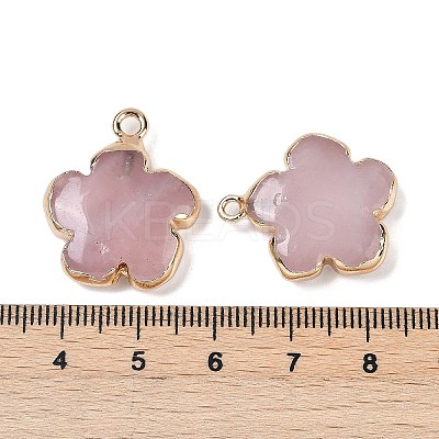Natural Rose Quartz Pendants G-P566-01G-10-1