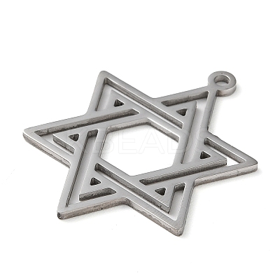 Non-Tarnish 304 Stainless Steel Pendants LS-STAS-R116-01P-1