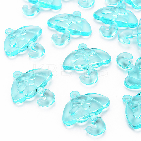 Transparent Acrylic Pendants TACR-T024-01B-946-1