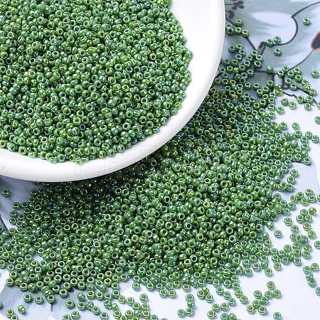 MIYUKI Round Rocailles Beads SEED-G007-RR0480-1