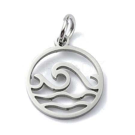 Non-Tarnish 304 Stainless Steel Charms LS-X-STAS-C097-63P-1